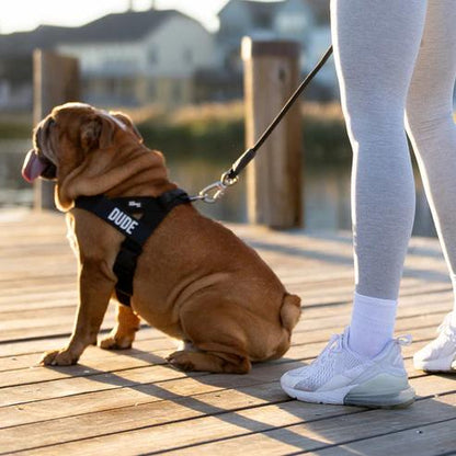PawFit Pro — No-Pull Dog Harness